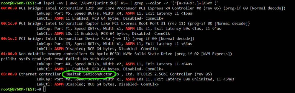 B760M-lspci-green--Screenshot 2024-02-22 075637.png