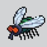 nraygun