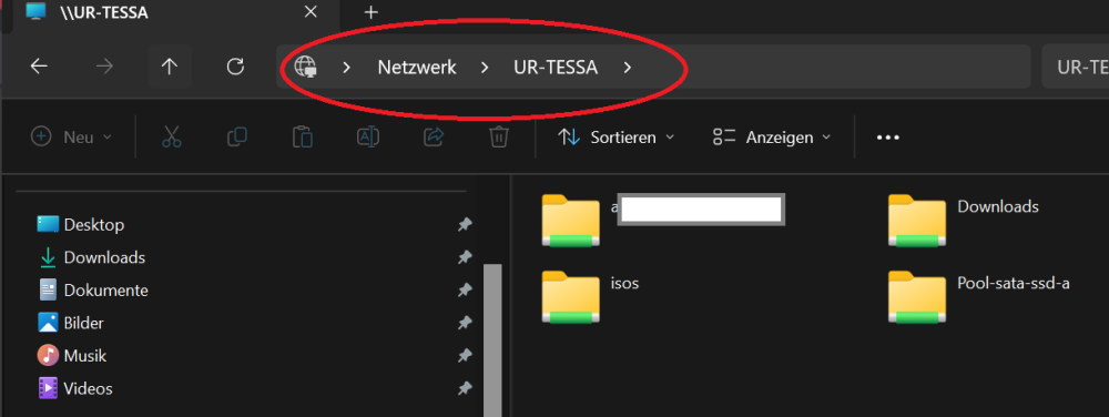URTESSA-NETZ-Screenshot 2024-03-06 212851.png