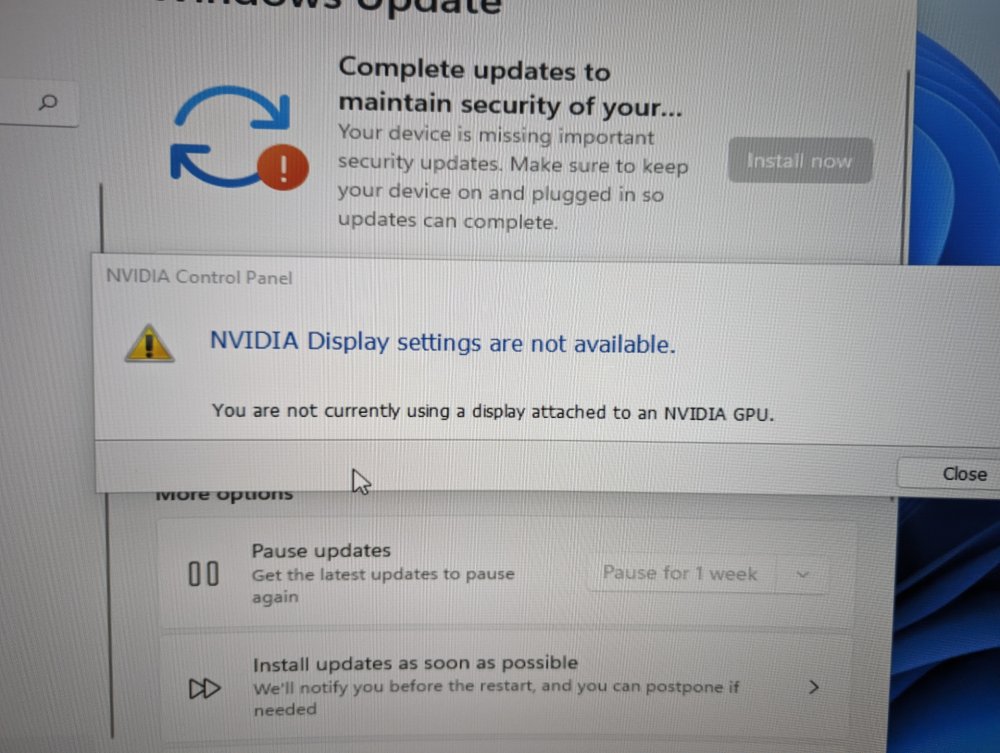 PXL_20240311_083521212_MP.thumb.jpg.bf1fcf48d246e49114a78d151c489be6.jpg
