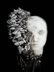 Antibios