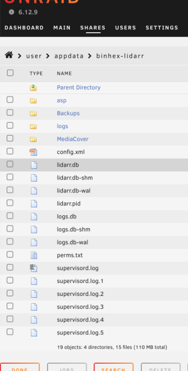 Contents of lidarr folder on cache pool.png
