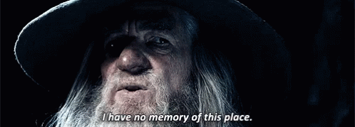 gandalf-i-have-no-memory-of-this-place-1750990858.gif.a4499f210917907c707585c55fd80b1f.gif