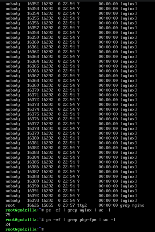 nginx php-fpm unraid Screenshot 2024-05-20 235807.png