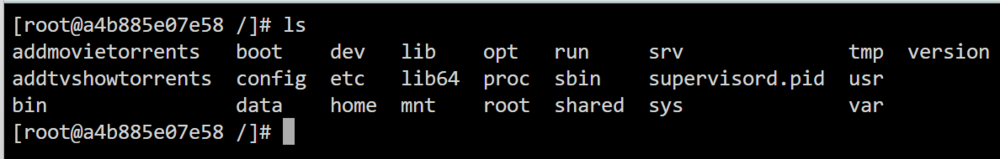 dockertermina.thumb.png.98658183135b7f07e2a2b25dc9d44b97.png