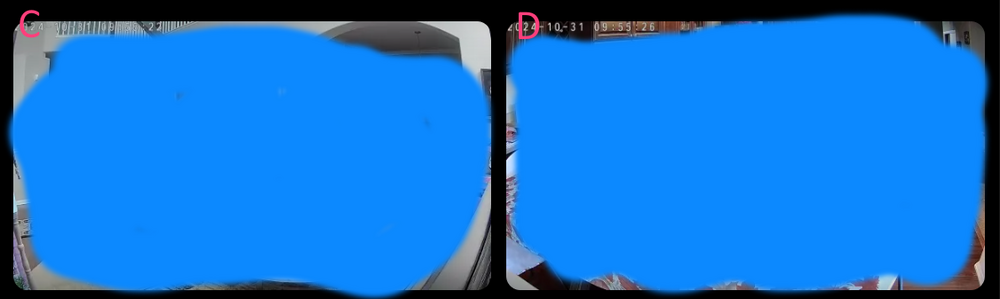 live_feed_CD.png