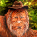 Texas_Yeti