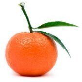 mandarin