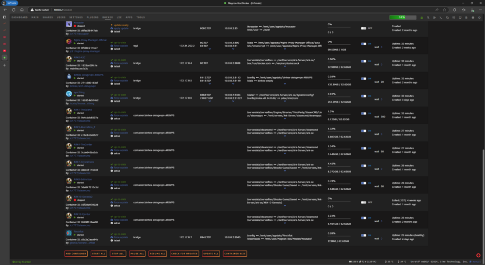 unraiddisplay.thumb.PNG.9c935a818e314ae1fd22c301a6c72412.PNG