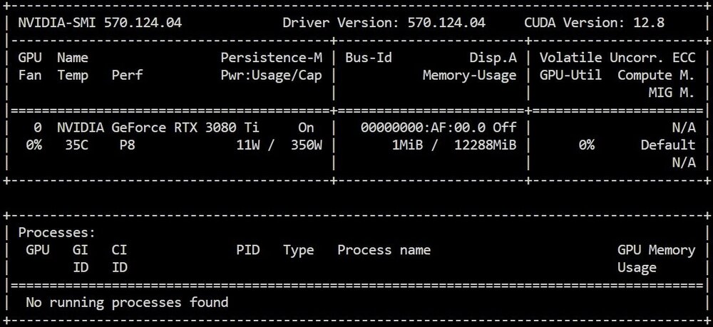 Nvidia-smi570_124_04.thumb.jpg.605761286a69c6f1f2dec04cb1c7ff8e.jpg