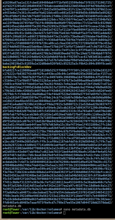 Screenshot from 2025-02-08 00-37-20.png