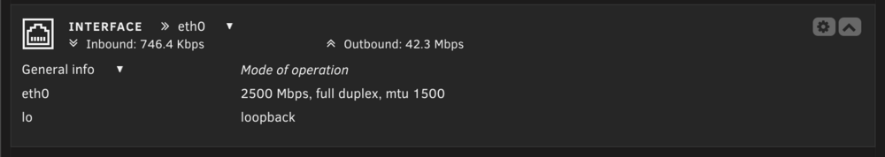 Unraid_Networkusage.png