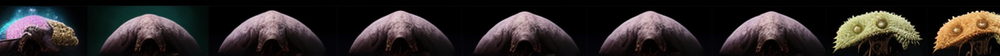 1280-70-_00008_.png
