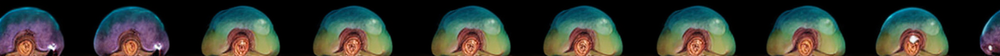 1280-70-_00009_.png
