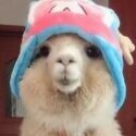 Thellamafromwinamp