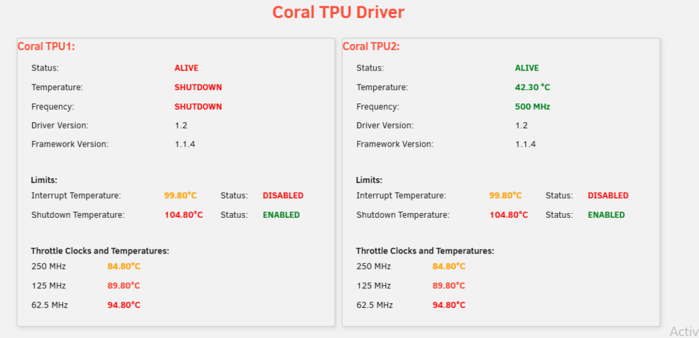 coral1.png