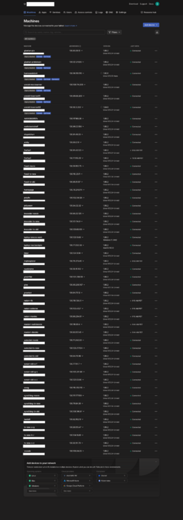 Tailscale Clients.png
