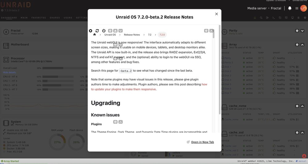 unraid72beta2visualglitch.jpg