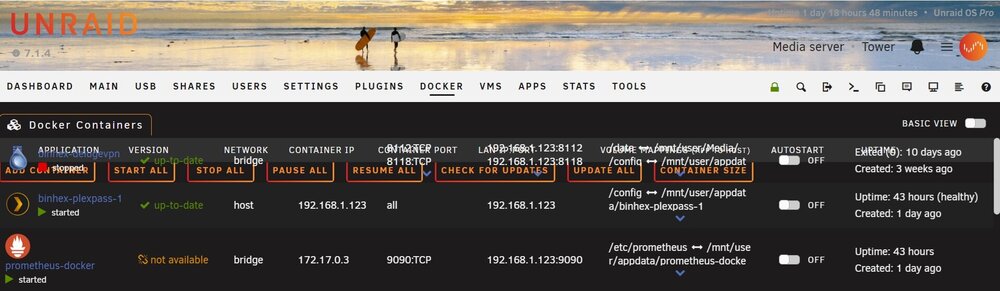 Unraid Docker Page.jpg