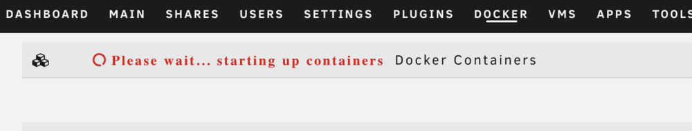 unraid docker page.png