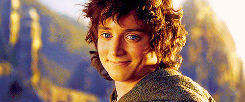 24481.gif