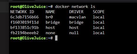 Docker Net LS.JPG