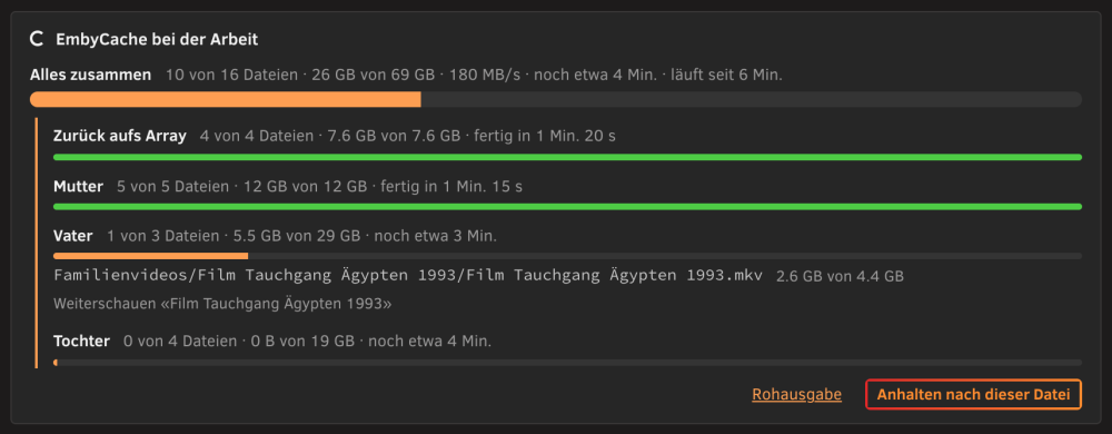 emby-panel-black-de-860.png